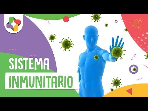 El sistema inmunitario - Educatina