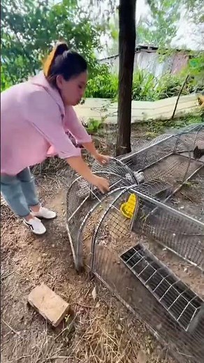Feeding Chickens in the Forest Coop | Easy Poultry Care