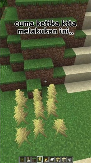 Something is weird with Mojang's work in the Minecraft chaos cube update