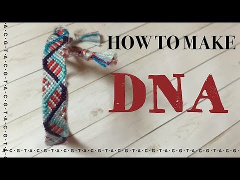How-To: DNA Friendship Bracelet | Alex's Innovations
