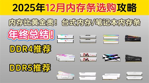 2025【年终】内存条选购指南、12月版/小白可看［DDR4 DDR5颗粒性能天梯图 高频率低时序大容量 双通道RAM电脑DIY硬件组装］光威/金百达/金士顿/