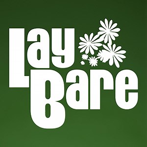 Lay Bare Waxing Salon (SM City Clark, Angeles, Pampanga - waxing salon restaurant)