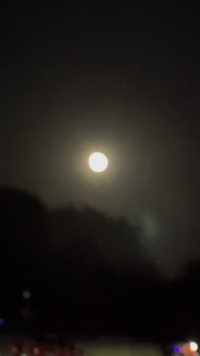 Full moon 🌕 | マリア グスマン