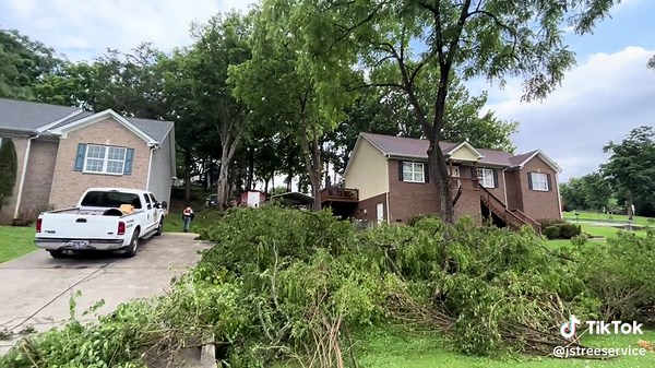 Jstreeservice (@jstreeservice)’s videos with original sound - Jstreeservice