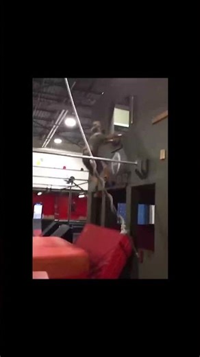 Random Sh*t | Trying Not To Laugh 😂 | Trata De No Reírte 9 #funny #memes #humor #gracioso #parati