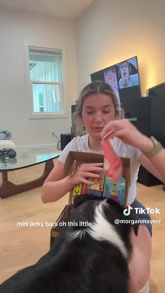 Bark box unboxing!! @BARKBOX _ #barkbox #crocsgang #dogcrocs