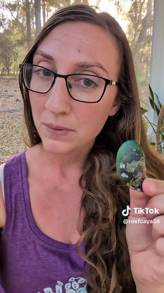 Transforming Invasive Mussels into Eco-Friendly Jewelry