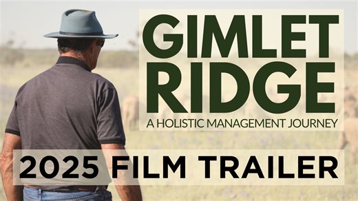 Gimlet Ridge - A Holistic Management Journey
