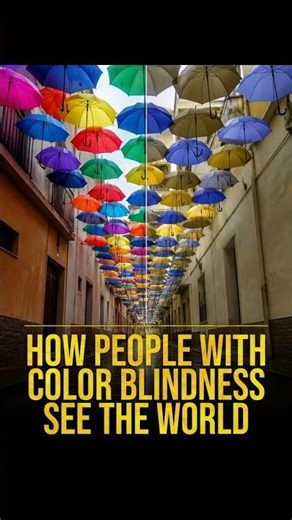 HOW PEOPLE WITH COLOR BLINDNESS SEE THE WORLD.