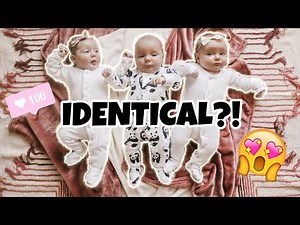 Are the TRIPLETS Identical or Fraternal?! DNA Results Confirmed!