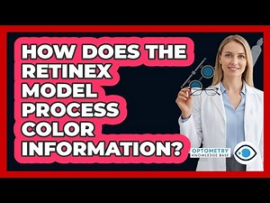 How Does The Retinex Model Process Color Information?