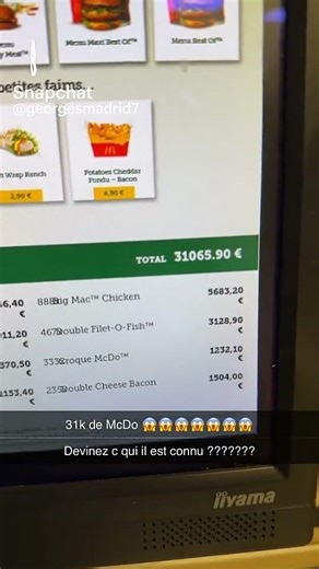 une big commande a mcdo #humour #questcequejedevraischoisir