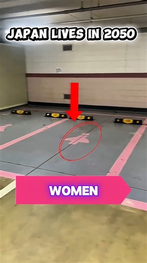 Japan's feel like it's already living in the year 2050