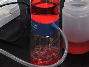 A Convenient and General Expression Platform for the Production of Secreted Proteins from Human Cells