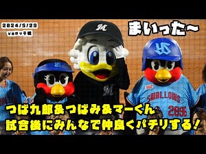 つば九郎&つばみ&マーくん 試合後にみんなでパチリ！！ 2024/5/29 vsロッテ