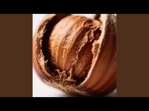 Hazelnut In Shell