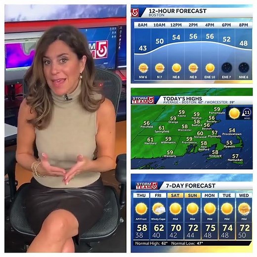 Cindy Fitzgibbon 10/17/2024 WCVB 5 ABC