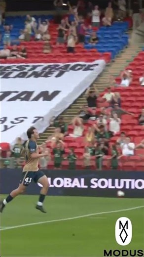 Modus Moment - Bertoncello STUNNER!