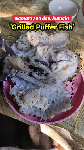 Grilled Puffer Fish: Delicious Recipes and Cooking Tips