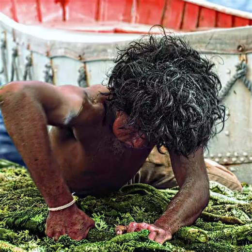 surviveing #viralvideo #viral?videotiktok😇😇1mellean #fypシ