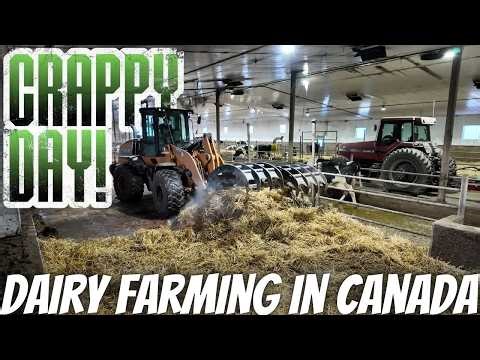 Dealing With Liquid and Solid Manure in 1 Day!