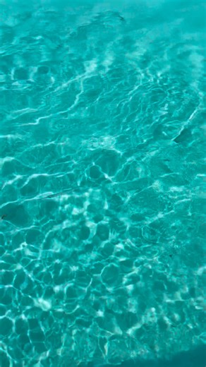 Turks Land & Sea Concierge on Instagram: "Turks & Caicos = Best Water CONTACT : → 1-649-247-1469 Turkslandseaconcierge@gmail.com Let me give you the best vacation ❤️🇹🇨 ! ALL VACATION ESSENTIALS AVAILABLE. SERVICES OFFERED: * PRIVATE CHEF (Breakfast, Brunch, Lunch, Dinner) * FLOATING BRUNCH * EVENT DECOR * MASSAGES (Private Insuite) * SUV TRANSPORTATION * GROUP BUS/ SPRINTER TRANSPORTATION * SHARED BOATS * WAKE BOARDING * NOAHS ARK CHARTER * FIRE DANCER * PRIVATE YACHT & BOAT CHARTERS * CLEAR K