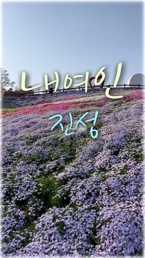 내여인❤️진성#생초 국제조각공원#소소한풍경#힐링#감성트로트#shorts