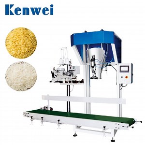[Hot Item] Rice Packaging Machine for Weighing Bulk Grain 50kg