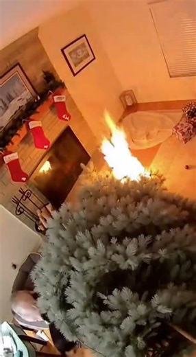 Christmas Tree Inferno