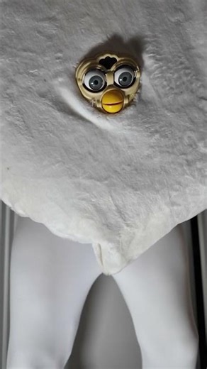 My furby Jiggles