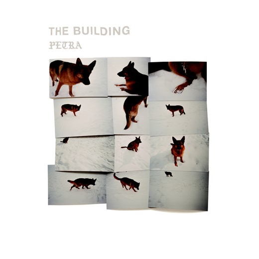 The Building - Petra