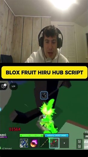 How to Get Blox Fruit Hiru Hub Script Visually Explained | Features, Uses, and Gameplay Breakdown