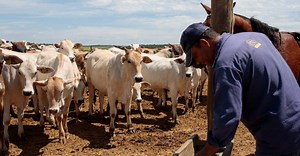 As grandes tendências para o agro em 2024 | Mundo Agro