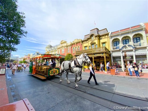 16 Disney World Secrets Even Locals Don't Know | the disney food blog