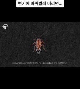 바퀴벌레 변기 처리 방법과 생존 능력