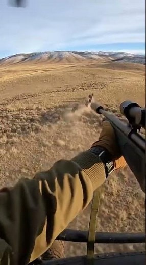Helicopter Hog Hunt: Extreme Aerial Action!