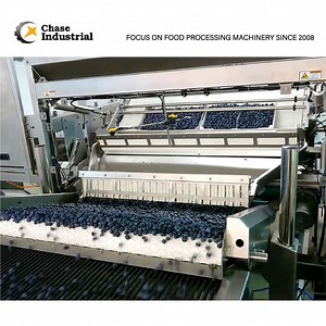 [Hot Item] 380V 150kw Chase Standard Ocean Packing Blueberry Pulp Processing Machine Production Line