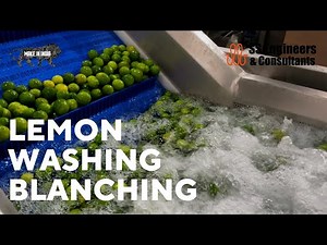 Lemon Washing and Blanching machine | Lemon Processing #lemon #ssengrindia