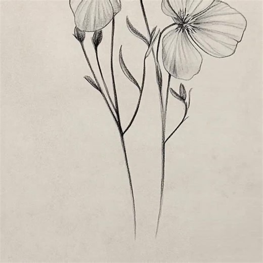 Antique Botanical Prints Digital Download Vintage Botanical Sketch Hand Drawn Flower Illustration Printable Floral Art Rustic Floral Decor - Etsy