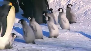 距离不仅产生美，还有疏远和背离