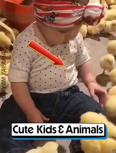 76K views · 1.8K reactions | Cute Kids & Animals | Maryam Zakaria | Facebook
