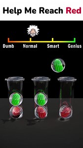 Relax and Train your Brain with the best Ball Sort Puzzle Game! 😍🌈 | Ball Sort Puzzle