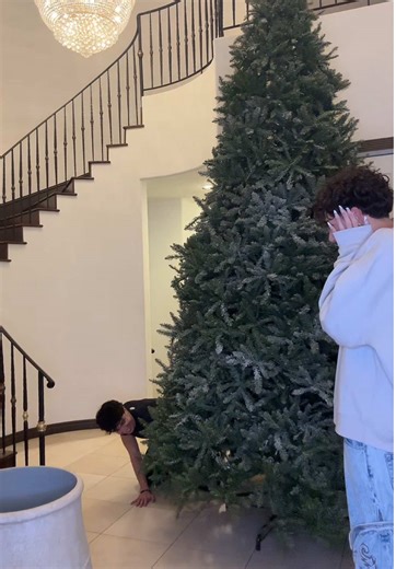 Let me know where you guys think I should put my Christmas tree😭 #christmas #christmastree