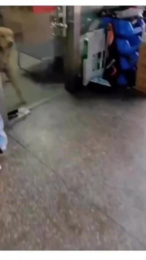 Online arguments. Lol | Patrick Bet-David