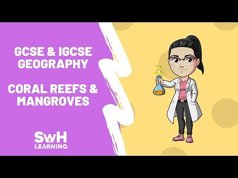 Features & Distribution Of Coral Reefs & Mangroves | GCSE & IGCSE Geography