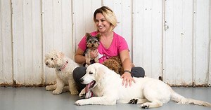 4.3K views · 57 reactions | Alumna Francine Coughlin (COM’04) first became inspired to open her own dog obedience school after observing an animal behavior trainer while working on the set of "Pirates of the Caribbean." Her North Reading, MA business, Bark n' Roll Canine Care, teaches pups through positive reinforcement and reward-based training. | Boston University | Facebook