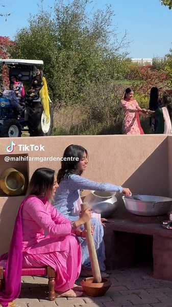 Punjabi Dance Performance in the Vibrant Pind Atmosphere