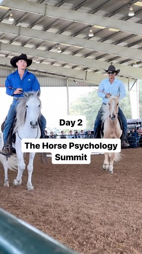 ✨ This was day 2 of the Horse Psychology Summit 2024 ✨ We had the Parelli Savvy Team kicking off, beautiful moments during the demo ‘Father & Son’ with Pat & his son Caton and Pat’s stallion, Revelation, with his sons in the arena. We couldn’t get enough, you were a great crowd 👏🏼😍 | Parelli Natural Horsemanship