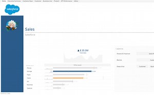 A simple but efficient sales Accelerator to monitor your sales results across customers, across products or any level of detail you might have in your data source.