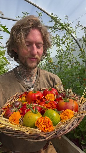 8K views · 223 reactions | My Top 5 Tomato Varieties this season! ...